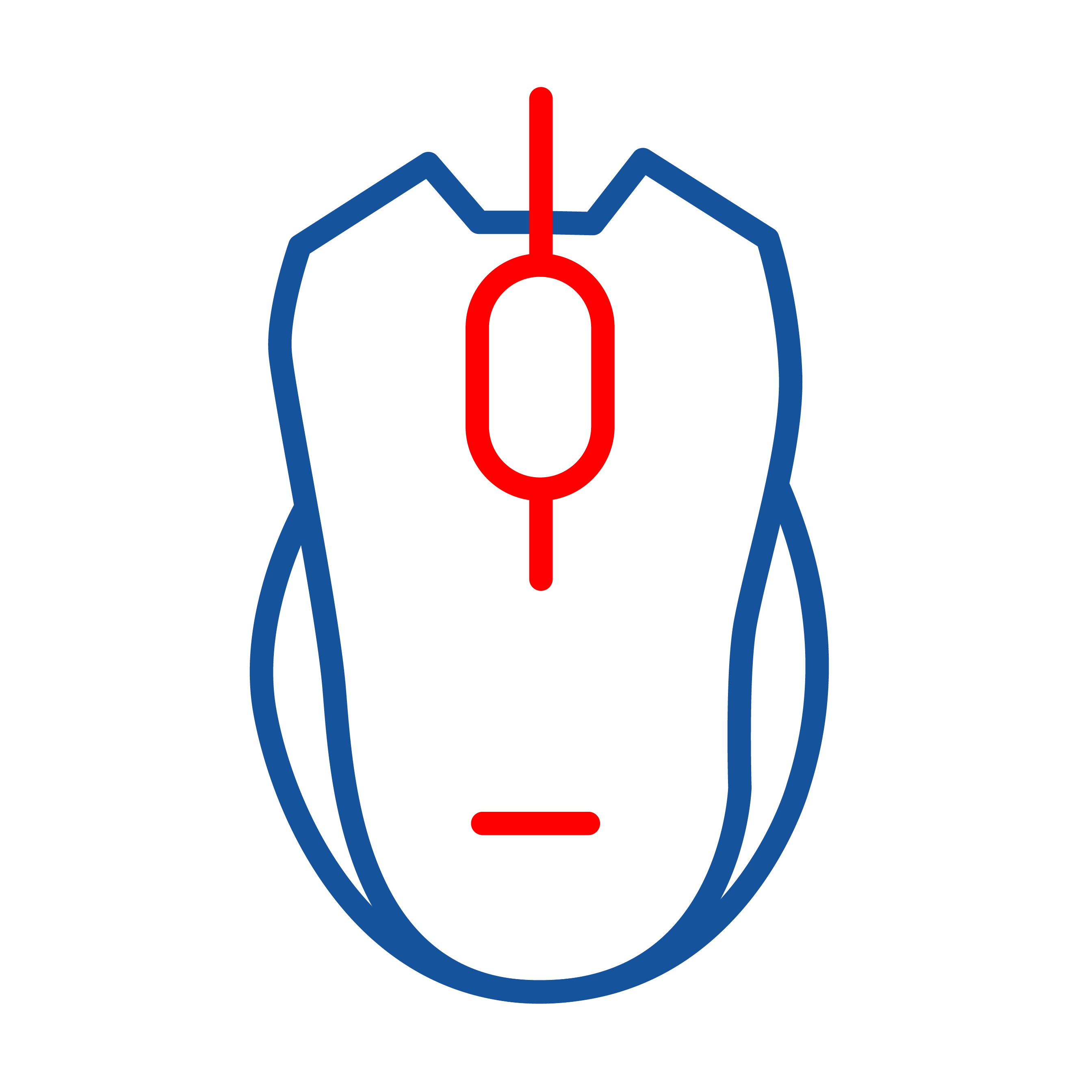Mouses
