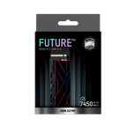 DISCO SOLIDO M.2 HIKSEMI HS-SSD-FUTURE Pro 4096G PCIe Gen 4 x 4, NVMe
