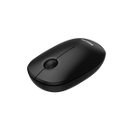 Mouse Philips SPK7378 Wireless 1600DPI Black